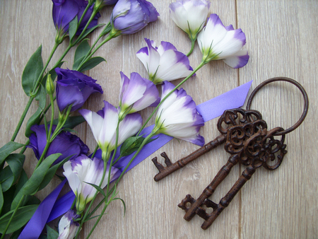 purple flowers with keysの写真素材
