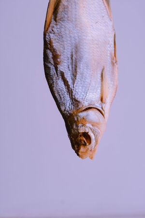 dry fish hanging from the top, isolated on a pink backgroundの写真素材