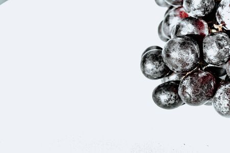 black grapes on an isolated background top view. of black grapesの写真素材