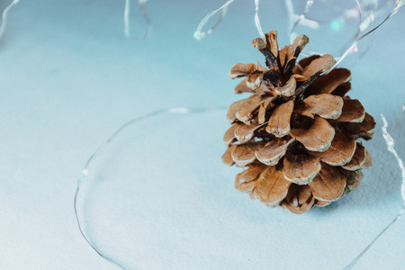 one pine cone with holiday lightsの写真素材