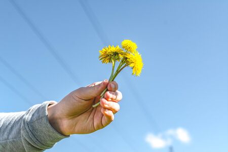 let's save nature together. blue sky with a cloudの写真素材