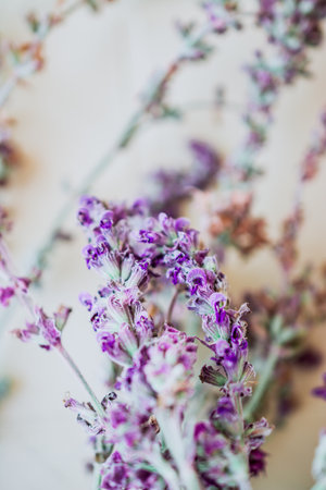 Selective focus. A bunch of dry flowering sage lying on a wooden table. Top view. Sage grass. The color is sage. Background imageの写真素材