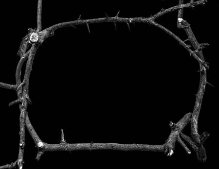 Halloween festival photo framework decoration design, dark grey color of different abstract pattern wooden branches texture with thorns isolated on black backgroundの写真素材