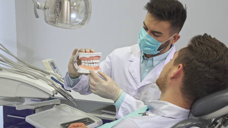 Dentist shows the client the layout of human teeth