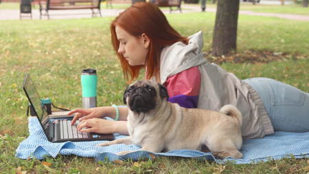 Girl laying and typing on laptop on a lawn with her pug aroundの写真素材