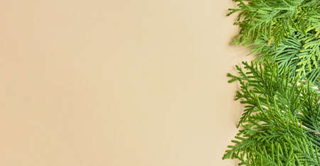 holidays background with copy space for your text. Christmas holidays. holiday cardの写真素材