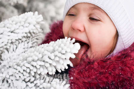 A smoll girl eating snow from tree branches. Christmas mood in the winter forest. High quality photoの写真素材
