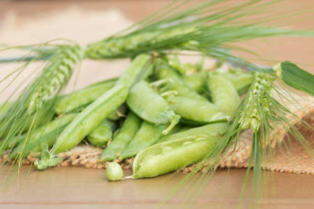 Green peas lies on the fabric and surrounded by ears of wheat. Soft focusの写真素材