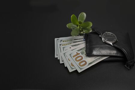 A mans purse with a pack of dollars and a money tree.
