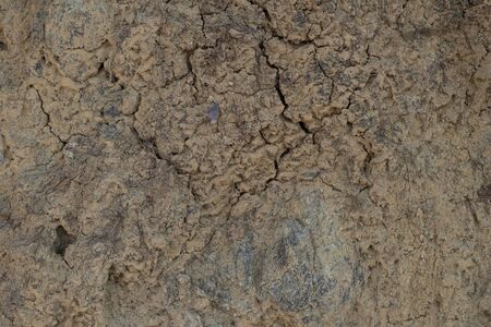 Brown texture of a dirt roadの写真素材