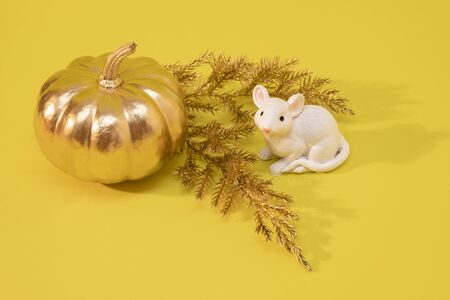 Decorative Golden pumpkin and sprigs of pine needles with white mouse on yellow background.の写真素材