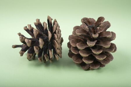 Two bumps on a green background. Winter Christmas symbolの写真素材
