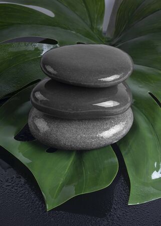 Spa concept of dark stones on the green leafの写真素材
