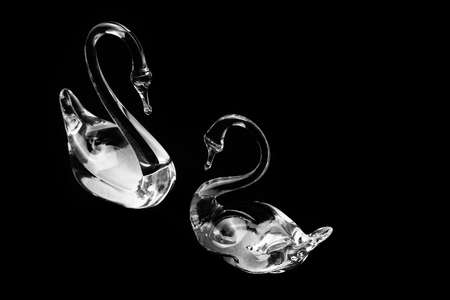 Crystal glass swans on a dark backgroundの写真素材