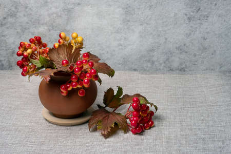 Viburnum in clay pot on gray background still life