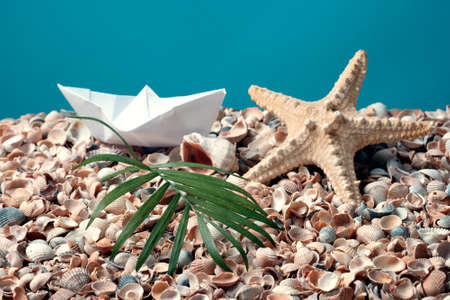 Paper boat on a placer of shells, starfish