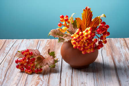 Autumn viburnum in clay pot on wooden background