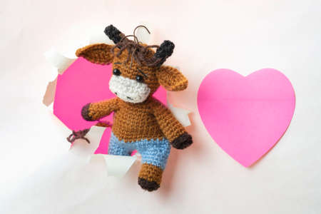 Knitted bull symbol of 2021 climbs out of the hole. A leaf in the shape of a heart for writingの写真素材