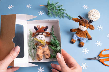 Packaging toys bull symbol 2021 crocheted. Home hobby for the New yearの写真素材