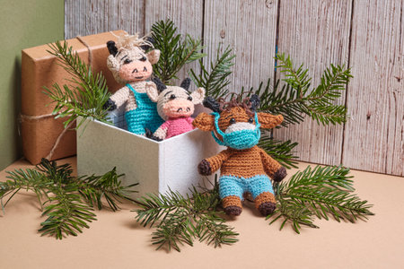 Knitted three bull toys gift for 2021. Gift box, toys bull and fir twigs on a geometric backgroundの写真素材