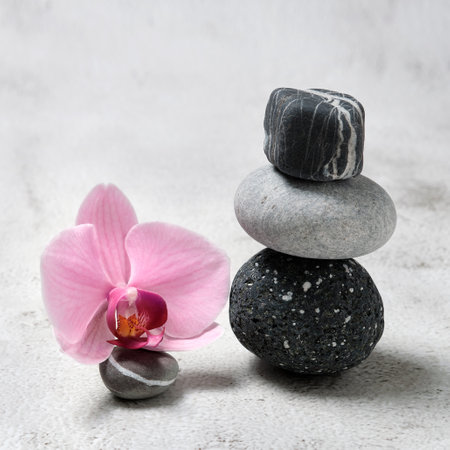 Spa still life, stones and orchid flowerの写真素材