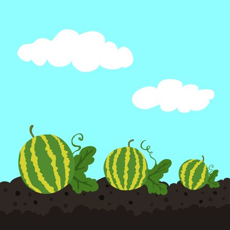 Watermelons in the garden - vectorのイラスト素材