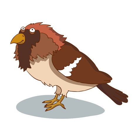 Cartoon bird on white background - vectorのイラスト素材