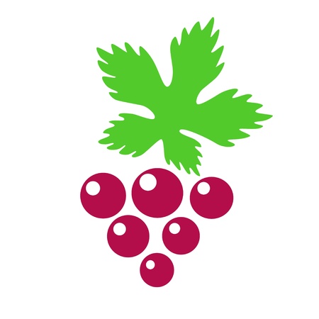 Berries grapes on a white background-vectorのイラスト素材