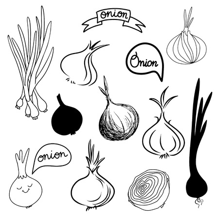 Onions sketch set in black and white - vectorのイラスト素材