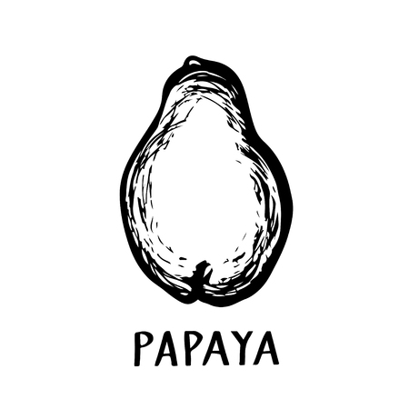 Papaya fruit closeup black hand drawn icon isolated on a white backgroundのイラスト素材