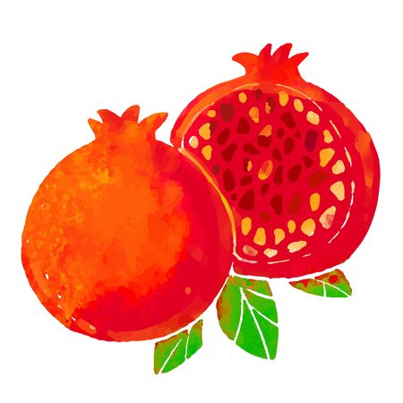 pomegranate fruit and leaves closeup isolated on a white backgroundのイラスト素材