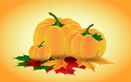 Autumn pumpkinのイラスト素材