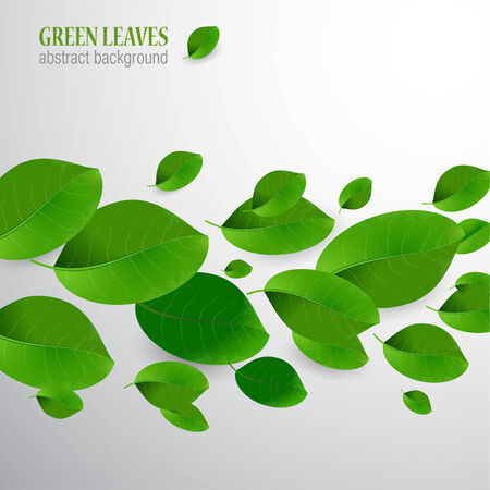 Green leaves backgroundのイラスト素材