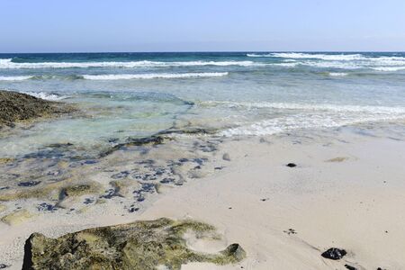 Sandy coast of the Atlantic ocean Fuerteventura island background of mountains
