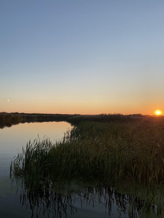 Swamps in the floodplain and the first floodplain terrace of Pripyat. They are located along the Pripyat River and its tributaries on the territory of Belarus from Brest to Luninets, as well as in the north of Ukraineの写真素材
