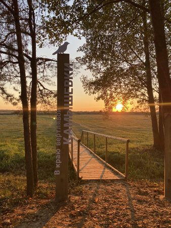 Swamps in the floodplain and the first floodplain terrace of Pripyat. They are located along the Pripyat River and its tributaries on the territory of Belarus from Brest to Luninets, as well as in the north of Ukraineの写真素材