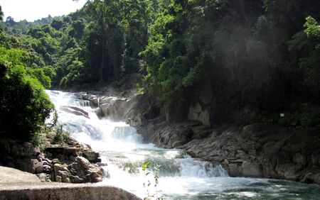 waterfall in the forestの写真素材