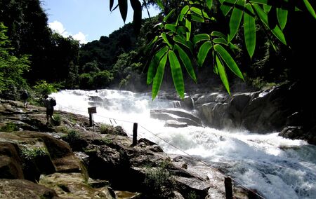 Creekの写真素材