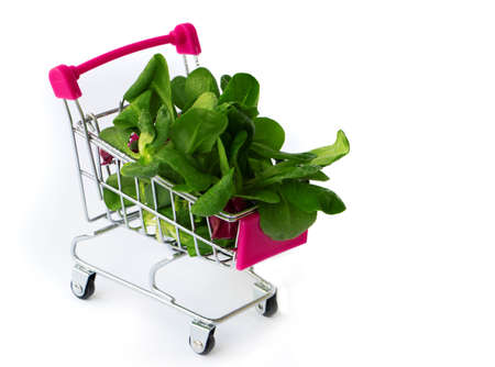 fresh green vegetables in a grocery basket. Mini shopping cartの写真素材