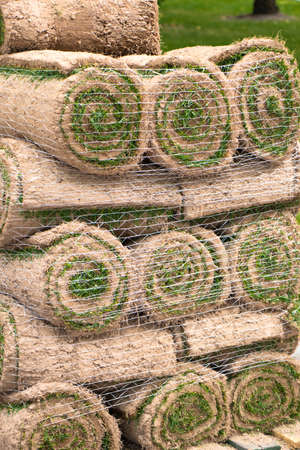 stacks of sod rolls for landscaping. Lawn grass in rolls on pallets on street.の写真素材