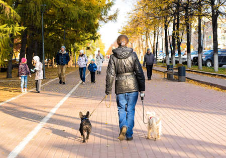 Russia, Chelyabinsk, October 04, 2020: Girl walks with the dogs along the city street. Black and white dogs on leashes. City landscape.のeditorial素材