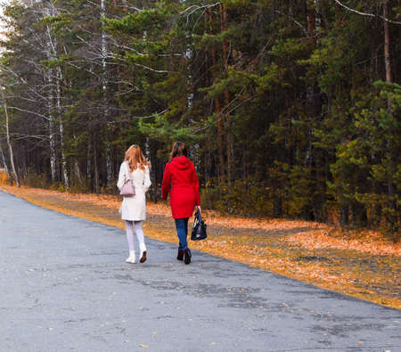 Walking girls in the autumn forest. Two friends are walking along a wide forest road. Beautiful autumn landscape. Place for your text. Autumn season concept.の写真素材