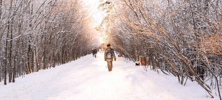 Russia, Chelyabinsk, December 05, 2020: Wide winter road, illuminated by the bright sun. Walk in the winter park. People walk along a wide forest road, Beautiful bright winter landscape. Place for text. Winter season concept.のeditorial素材