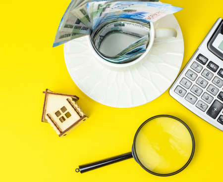 Miniature toy house, Russian rubles, magnifying glass, calculator on a colored background. Real estate object. Concept of buying an apartment, house. Rental of property. Flat lay.の写真素材