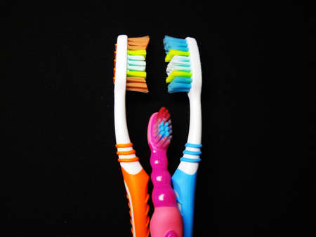 tooth brushes for all monogynopaediumの写真素材