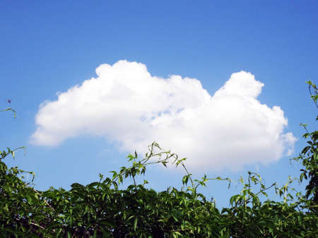 large cloud on skyの写真素材
