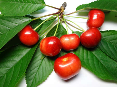 sprig  of ripe cherry  on a white backgroundの写真素材