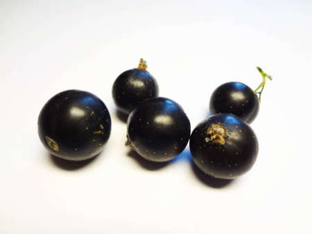 berry currant isolated on a white backgroundの写真素材