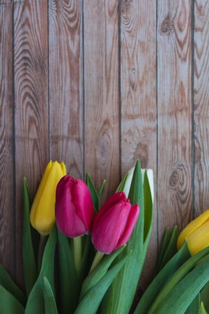 flowers on wooden boardsの写真素材