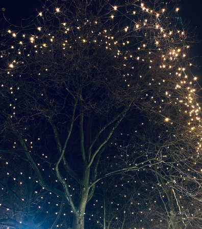 Night lights of stuttgart city while a train is passing the view on illuminated television tower building by night in twilight.の写真素材